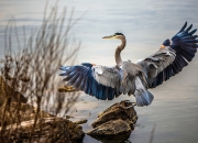 爱游戏中国-切特·霍姆格伦，山西对阵76人，一场被独角兽掌控的宿命对决