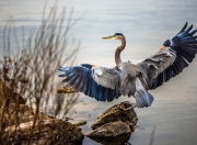 爱游戏中国-切特·霍姆格伦，山西对阵76人，一场被独角兽掌控的宿命对决