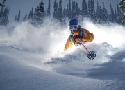 爱游戏世界杯2026-米切尔大场面先生再显神威，灰熊末节收割黄蜂锁定胜局